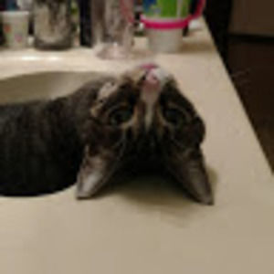 Meet your Posher, Jean